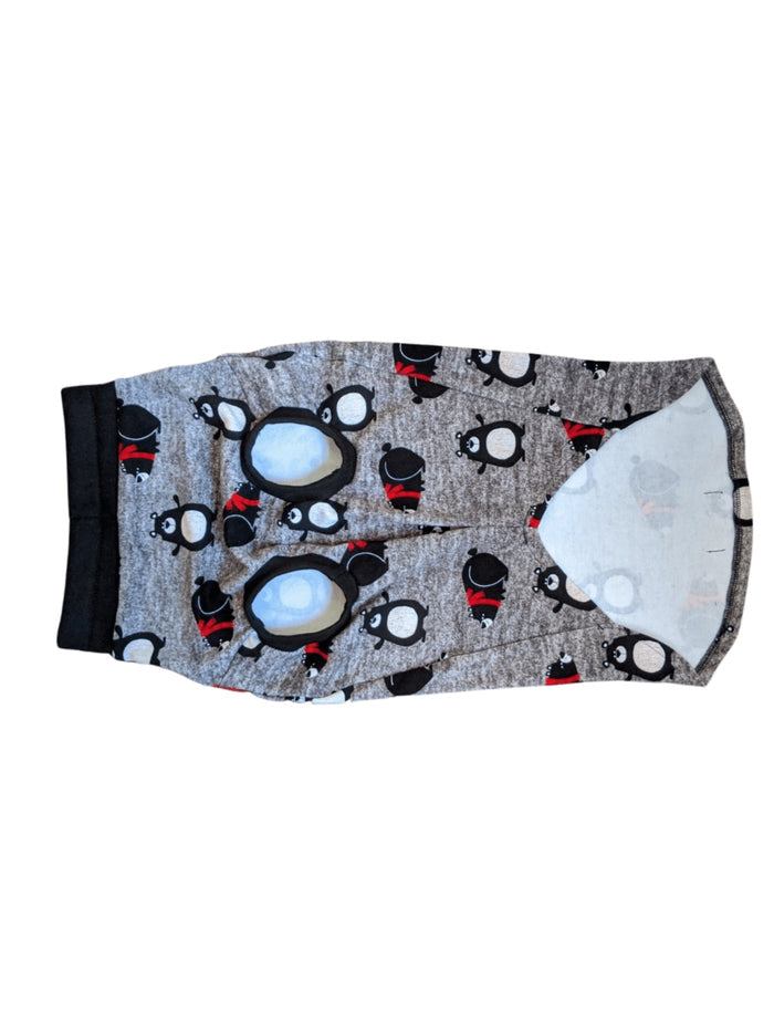 Jax & Molly's Alien Dog Pajamas