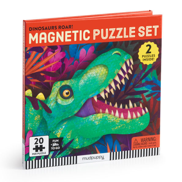 Magnetic Puzzles