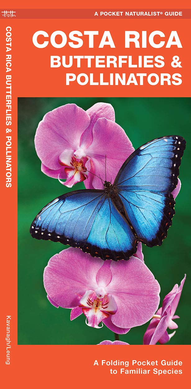 Costa Rica Butterflies & Pollinators