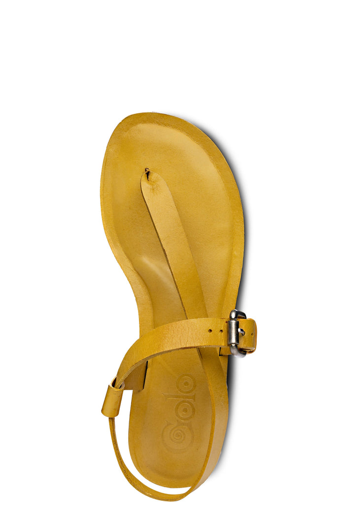 ROMA Golo Shoes