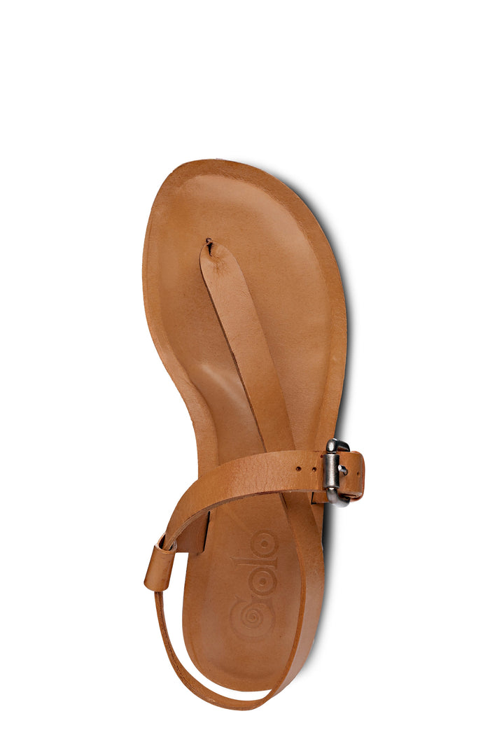ROMA Golo Shoes