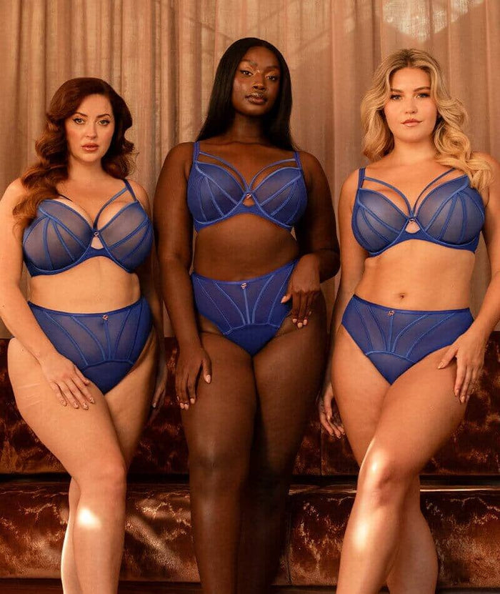 Scantilly Senses High Waist Brief - Ultraviolet Knickers