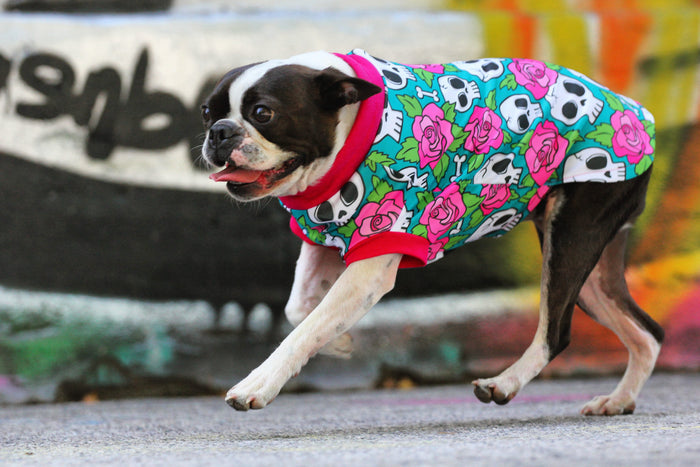 Jax & Molly's Skull and Roses Dog Pajamas