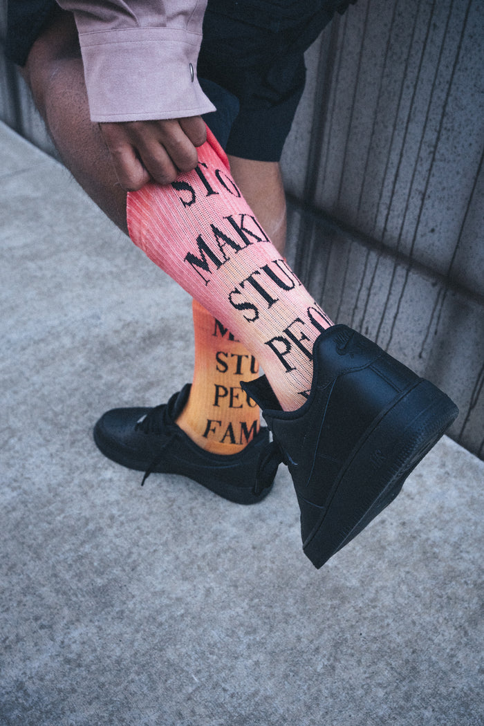 Stupid People Socks