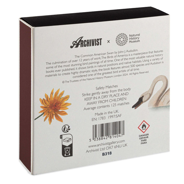 The Common American Swan | Square - Safety Matches