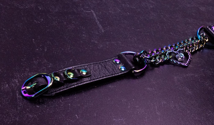 12.5" - 15.5" Rainbow & Black Leather Martingale Collar _ LIMITED _