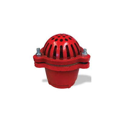 2" Foot Valve - Cast Iron