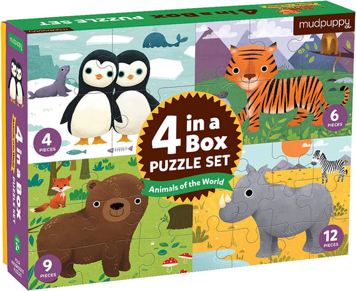 4 in a Box Puzzle Set