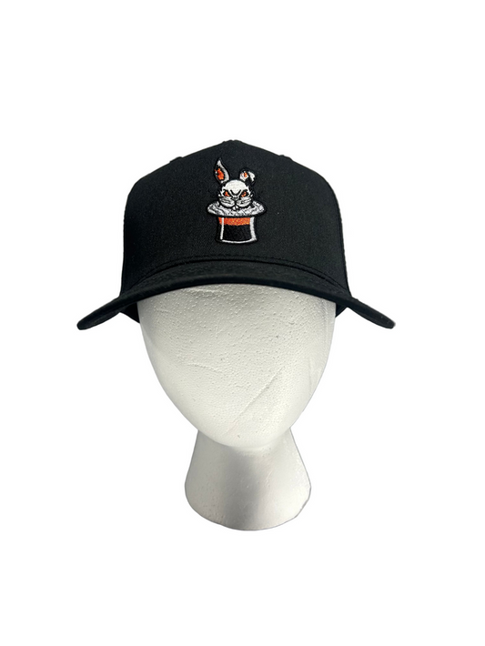 Black Hat Rabbit With Danbury on Back