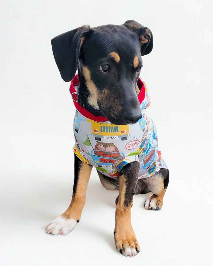 Animal Road Trip cotton spandex dog pajamas with hood, worn by a small black dog