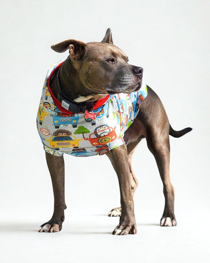 Animal Road Trip cotton spandex pajamas on dog, front standing view