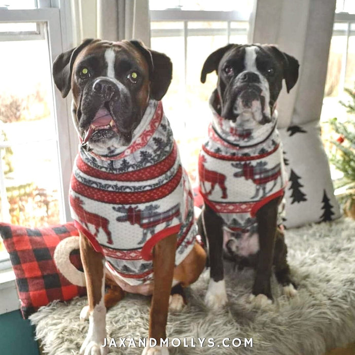 Two boxers modeling Jax & Molly's 'Aspen Holiday' dog sweater with a winter holiday moose print in red, white and gray