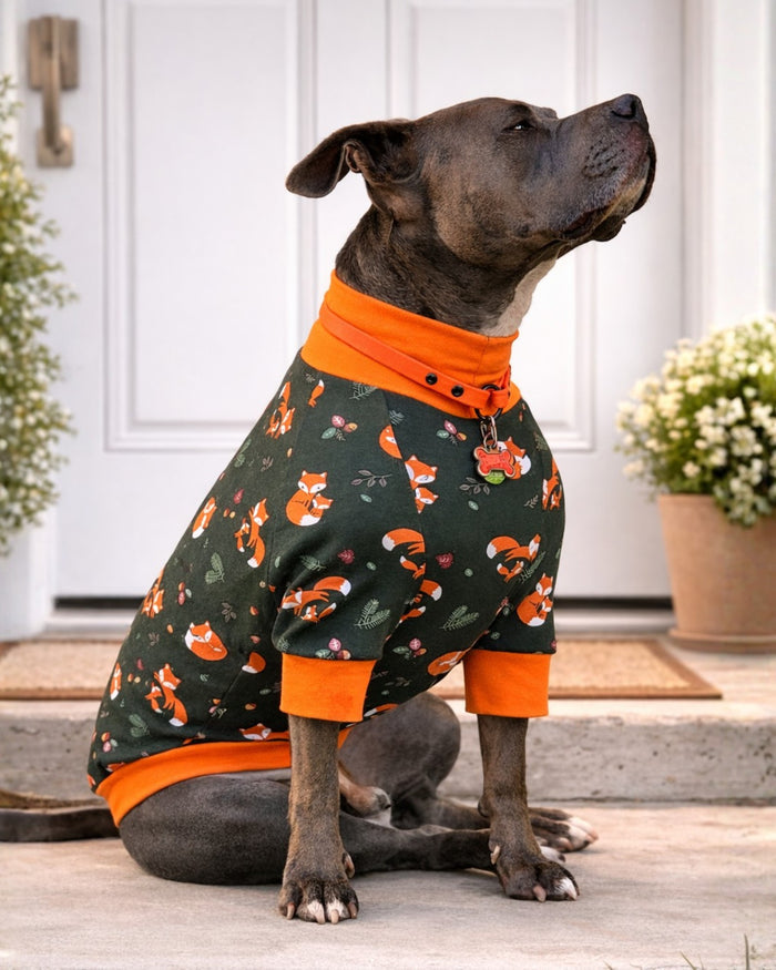 Autumn Fox Family cotton-spandex dog pajamas with orange trim on sitting Pitbull