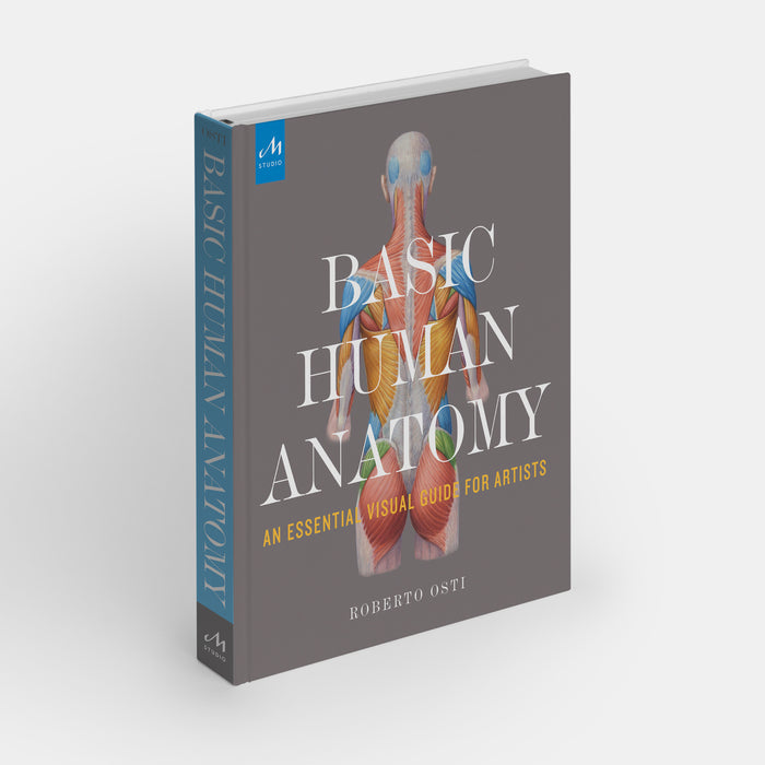 Basic Human Anatomy: An Essential Visual Guide for Artists
