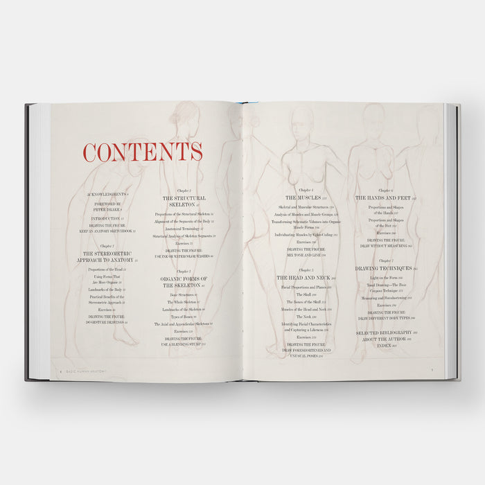 Basic Human Anatomy: An Essential Visual Guide for Artists