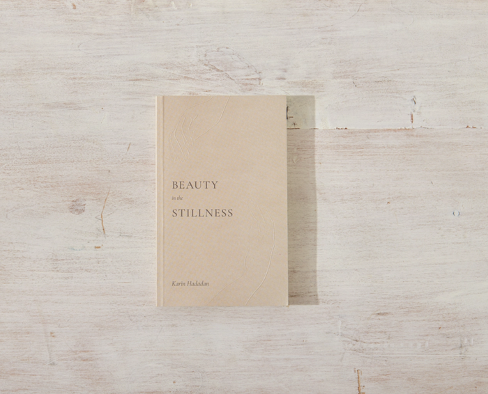 Beauty In The Stillness - book