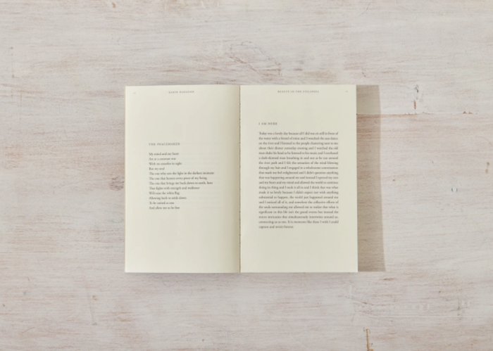 Beauty In The Stillness - book