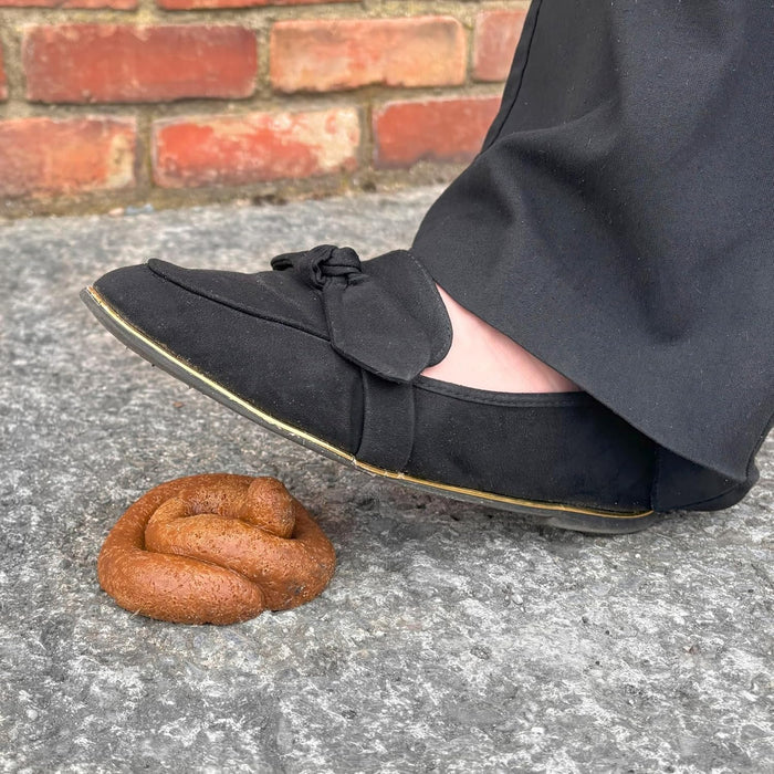 Black loafers with a knot design on a concrete surface next to a small pile of dog poop.