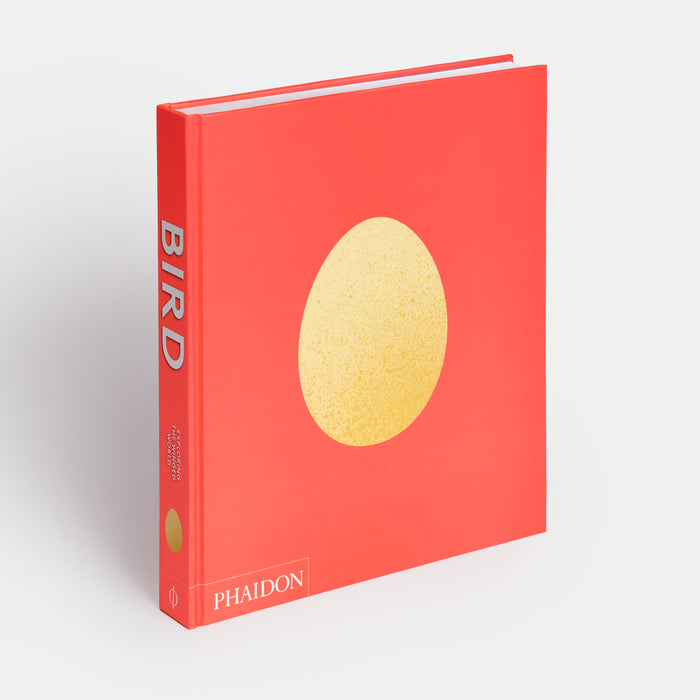 Bird: Exploring the Winged World