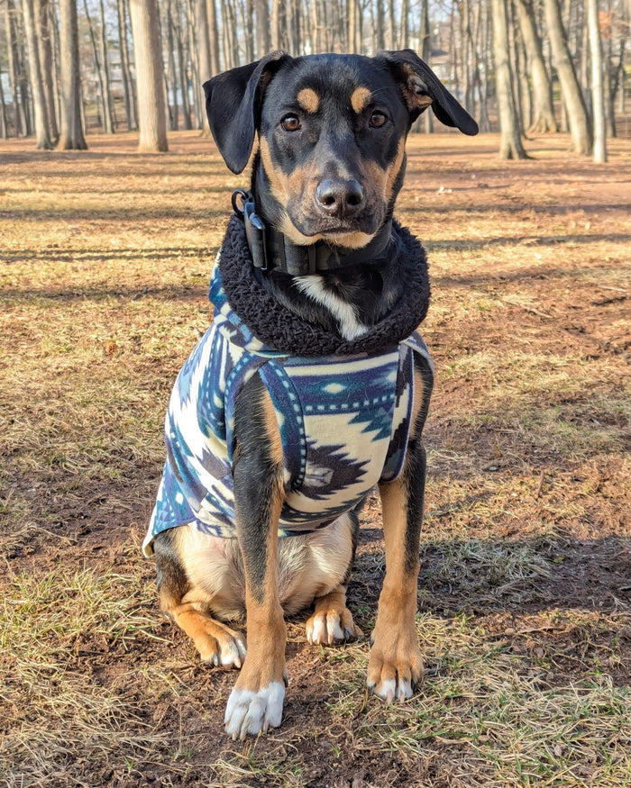 Blue aztec fleece dog sweater with hood on black dog, sitting in forest