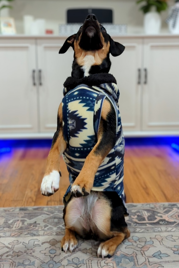 Blue aztec fleece dog sweater with hood on dog, performing trick