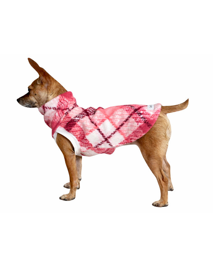 Side profile of small dog modeling the Jax & Molly's Bubble Gum Plaid dog sweater in pink and white plaid.