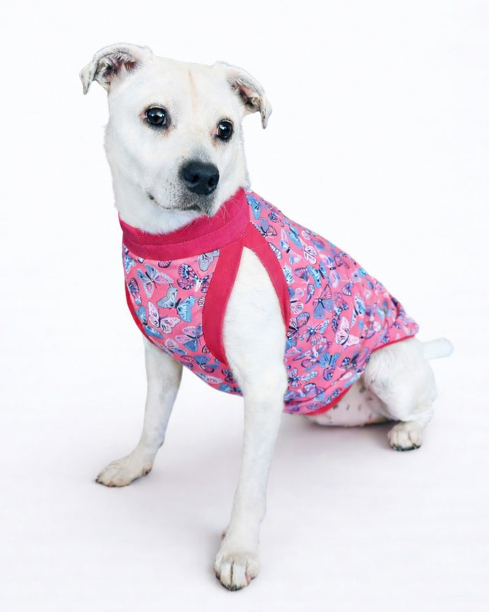 Bubblegum Butterfly cotton-spandex dog pajamas on white dog sitting, front view, Jax & Molly’s