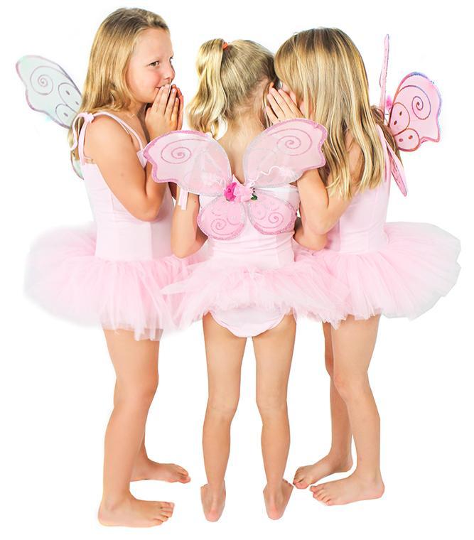 Butterfly Ballerina Package - letsdressup.com.au - Package Deals