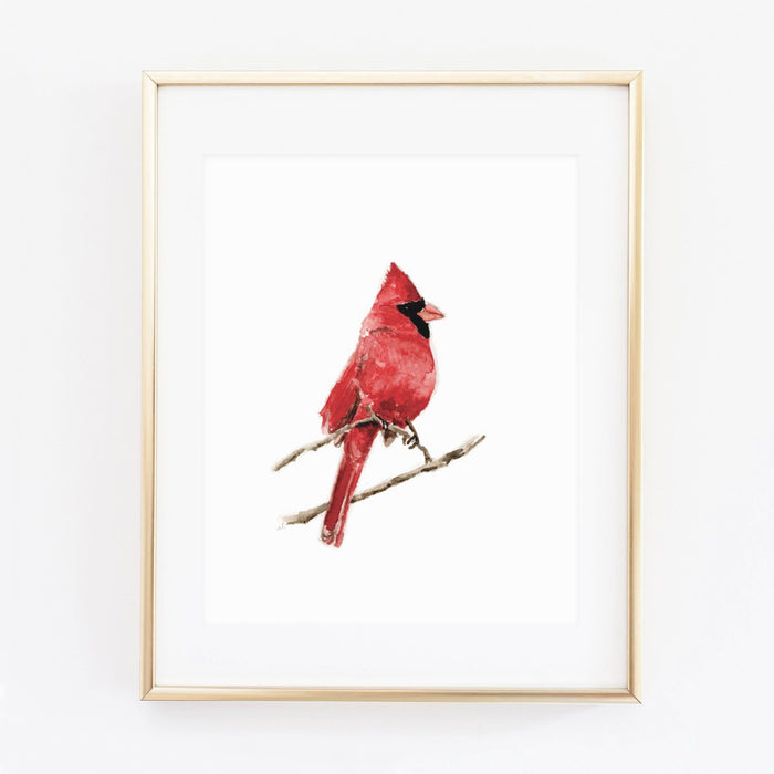 Cardinal art print