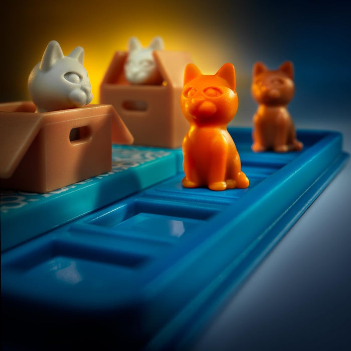 Cats & Boxes