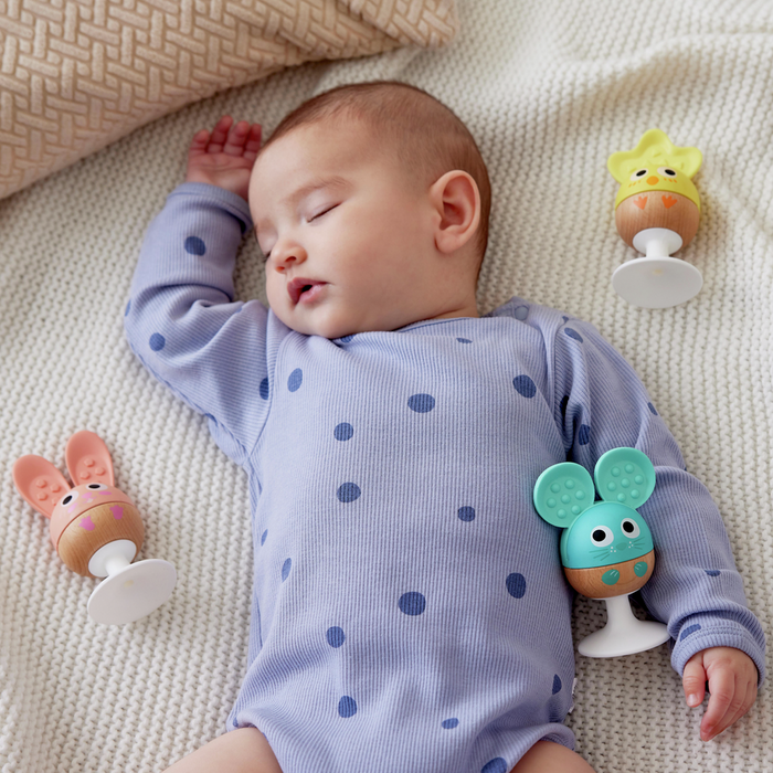 Cheery Critter Rattle Trio
