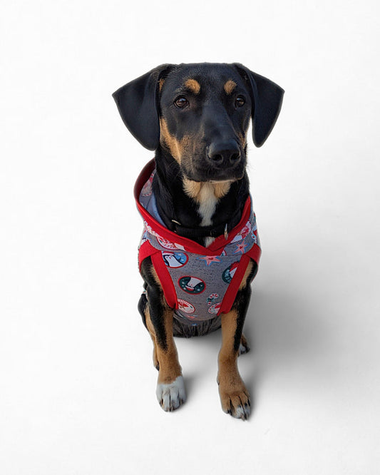 Dog wearing grey Christmas dog pajama with hood and red trim by Jax & Molly’s