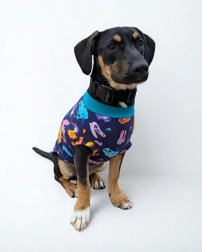 Colorful Dino Skulls cotton spandex dog pjs on black dog, sitting view