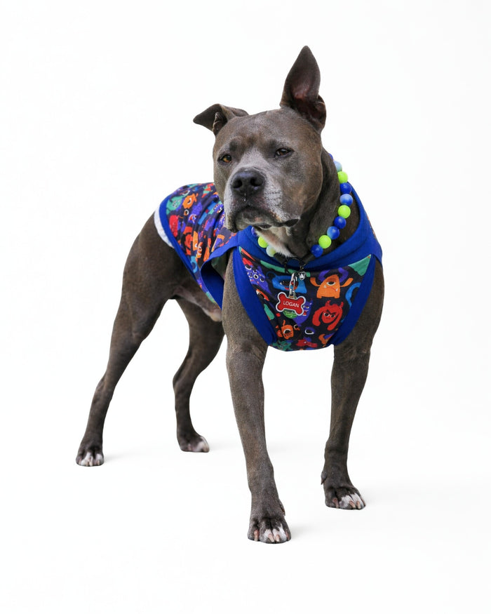 Colorful Monster Comrades lightweight poly-spandex dog pajamas on gray pitbull, standing