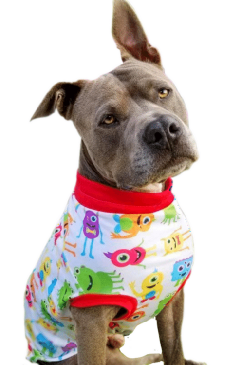 Pitbull modeling a dog shirt with silly colorful monsters