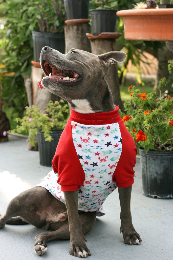 A pitbull strikes a pose in Jax & Molly's red and white pajamas, embellished with charming sea creatures and complemented by vibrant red sleeves.