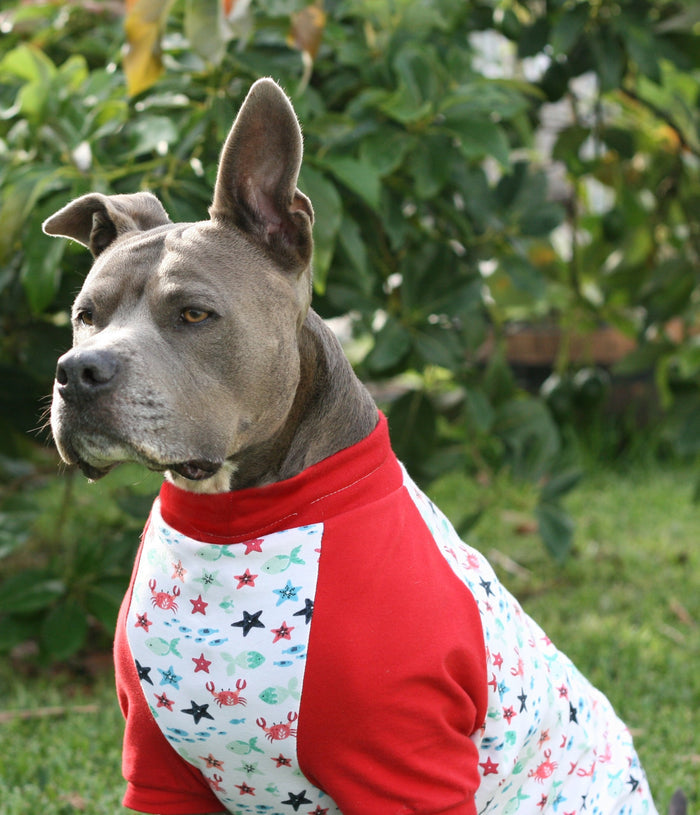 Side profile of a pitbull striking a pose in Jax & Molly's red and white pajamas, embellished with charming sea creatures and complemented by vibrant red sleeves.