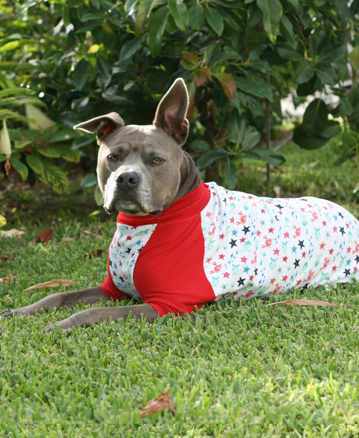 A pitbull lounging on the grass showcases Jax & Molly's red and white pajamas, decorated with sea creatures and complemented by red sleeves.