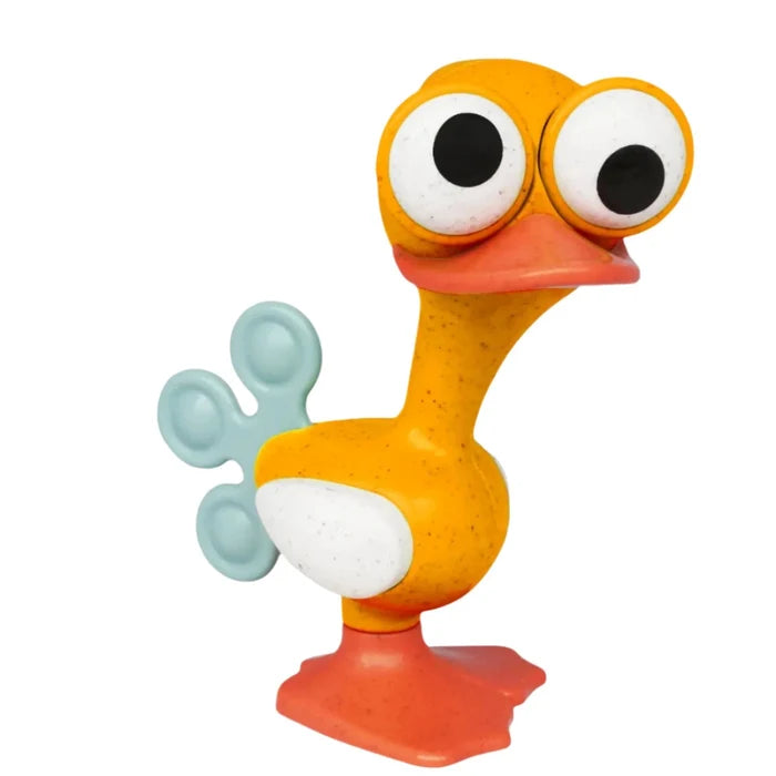 Crazy Eyed Bird