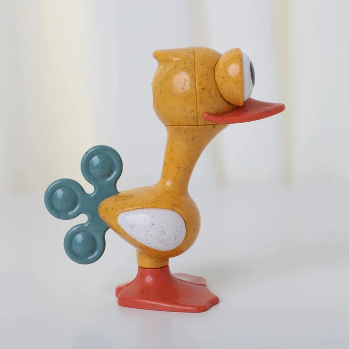 Crazy Eyed Bird