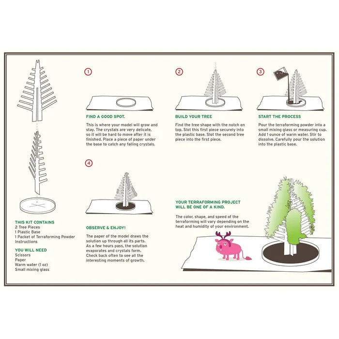 Crystal Growing Douglas Fir