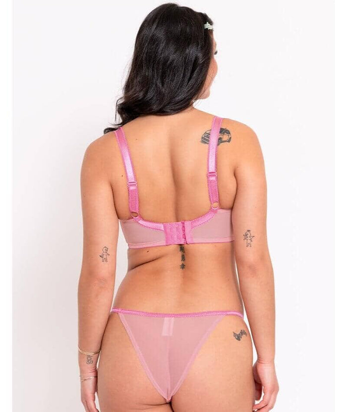 Curvy Kate Strawberry Crush Brazilian Brief - Pink Multi Knickers