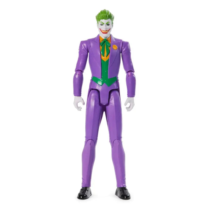 DC Comics Hero & Villain 12 Inch Assortment