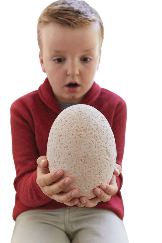 Dig It Up! The BIG Egg