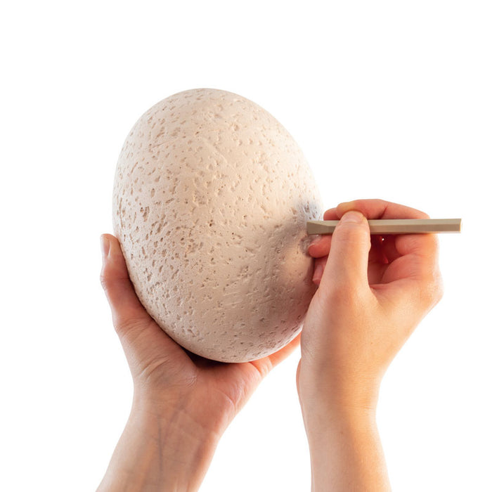 Dig It Up! The BIG Egg