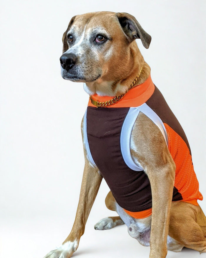 Dog Sport Jersey - Brown Body, Orange Mesh Sides, Orange & White Trim
