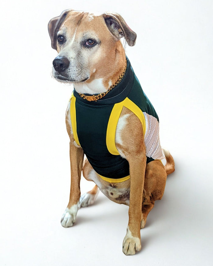 Green and yellow custom Packers cotton spandex dog jersey on tan dog, sitting