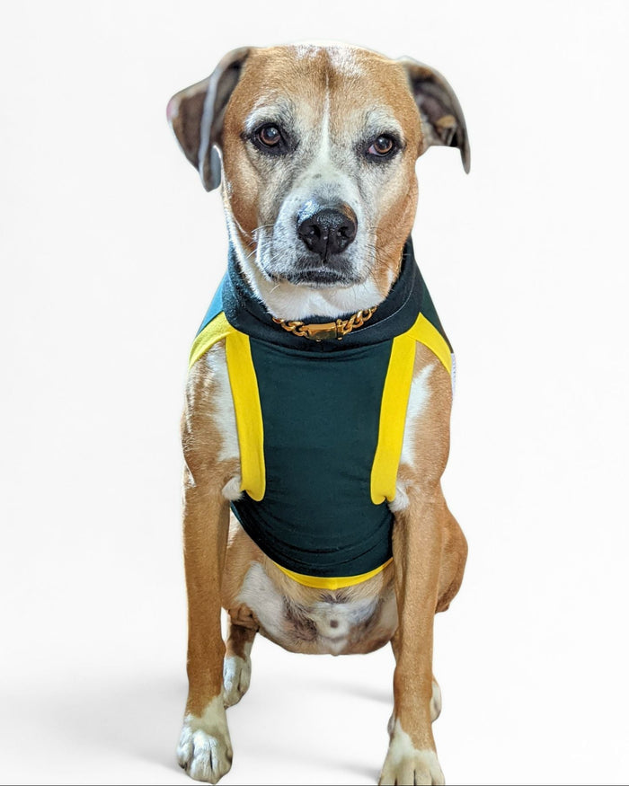 Green and yellow custom Packers cotton spandex dog jersey on tan dog, front view