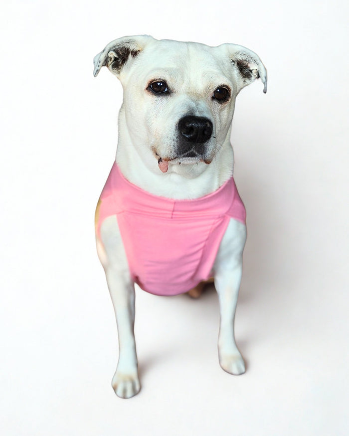 Dog Sports Jersey - Sweetheart Edition