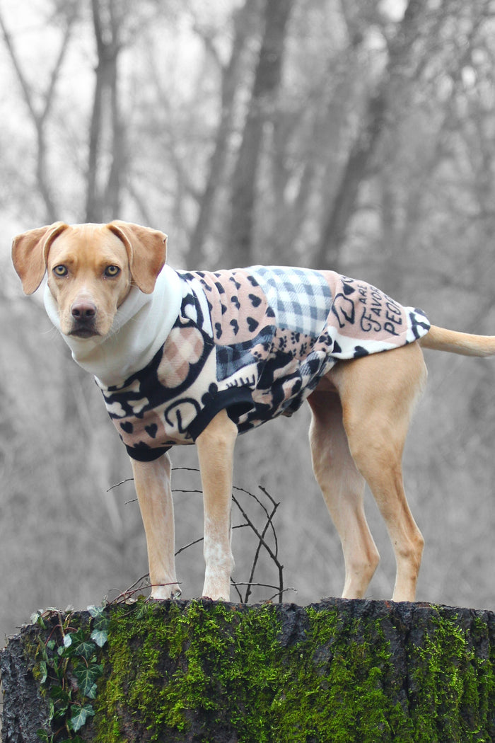 Dogs are My Favorite People II Dog Sweater - Made to Order